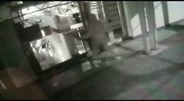 Furto con spaccata a Siracusa: ecco il ladro (poi arrestato) in azione