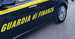 Truffe, contributi illeciti in agricoltura: sequestrati beni per oltre 160mila euro