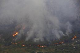 Tragedia senza precedenti in Spagna: incendio in un bosco, almeno 12 morti e ci sono anche dispersi