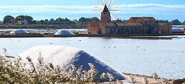 Saline di Marsala a rischio sviluppo: costi di raccolta alti e mancanza di manodopera