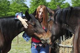 La Regione accoglie l'appello della Brambilla e sospende asta di asini e cavalli nel Ragusano