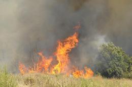 Algeria: si prevede ergastolo per 49 condannati a morte