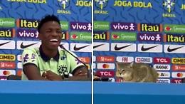 Un gatto interrompe la conferenza stampa di Vinicius e viene cacciato in malo modo: diventa un caso