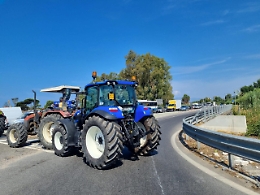 Brucellosi: malore allevatore dopo abbattimento dei vitelli