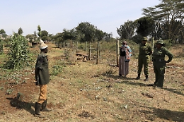 Mozambico: in 2022 12 morti per attacchi di animali a Niassa