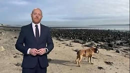 Conduttore meteo Bbc ricorda il suo cane in onda: ondata di affetto da parte dei telespettatori