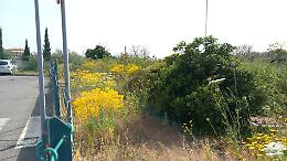 San Nullo: spazi verdi nel degrado e marciapiedi impraticabili in via Alan Turing