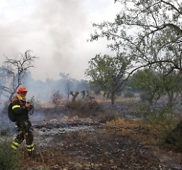 Pi&ugrave; ore di lavoro per 16 mila forestali in Sicilia, l'Ars approva la norma