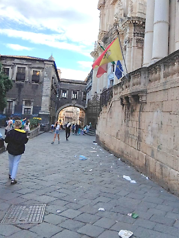 Catania. Cuore barocco soffocato dai rifiuti: l'UNESCO chiede rispetto