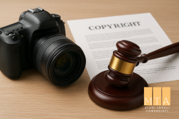 Opere d’arte fotografiche e strumenti di tutela giurisdizionale