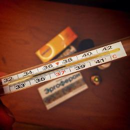 La stagione dell'influenza registra già più di 400mila casi in 7 giorni: virus Covid tra i più diffusi