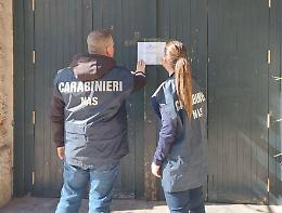 Blatte e altri insetti in cucina: i militari del Nas di Catania chiudono e sequestrano un noto fast food della provincia