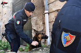 Blitz antidroga nel palermitano: quattro arresti tra Monreale, Corleone e Lercara Friddi