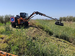 Stabilizzati i lavoratori dei Consorzi di bonifica, Sammartino: "Aspettavano da tempo un intervento della politica"