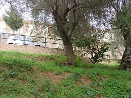 Sinagra, gara da 860 mila euro per mettere in sicurezza contrada Martini