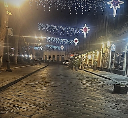 Castello Ursino, sotto l'albero le polemiche sulla pedonalizzazione. I commercianti: «Si riapra la strada, il sindaco ci incontri»