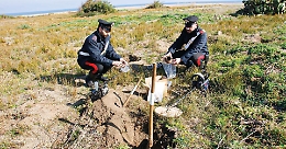 L'ombra della 'Ndrangheta nel traffico dei tombaroli, il linguaggio in codice: &laquo;Finocchi, caff&egrave; e motosega&raquo; 