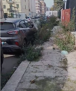 Palermo, marciapiede di Via Bernini sommerso dalle erbacce