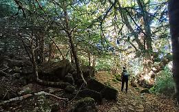 Sicilia a piedi, lungo le antiche &ldquo;trazzere&rdquo;: guida ai cammini tra mappe GPX, borghi e paesaggi che restano