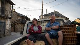 Cinema, l'effetto Zalone sul Cammino di Santiago, boom di ricerche degli italiani 