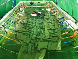 Marausa II e Gela II tornano alla luce: la Sicilia lancia la rete dei musei del mare