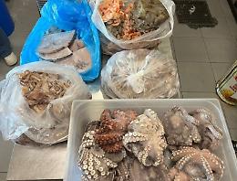 Nel Messinese sanzioni per 4mila euro e sequestro di pesce non tracciato