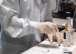 Basso il rischio Hantavirus per la popolazione in Europa, cosa c'&egrave; da sapere