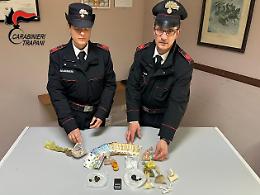 Carabinieri di Castelvetrano, con il fiuto di Ron, arrestano coppia a Santa Ninfa: sequestrati circa 140 grammi di droga e 1.500 euro