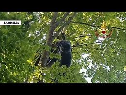Appeso a 15 metri da terra, il video del salvataggio di un parapendista
