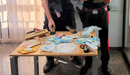 Il fiuto di Dea rovina la serata ad un 63enne di Monreale, ecco cosa ha scoperto il cane cinofilo
