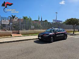 Piantagione di cannabis fra le case all'Uditore: i carabinieri arrivano, ma un uomo aizza i cittadini contro i militari