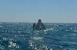 Rischia di affondare insieme alla barca: salvato dal gestore di un Lido