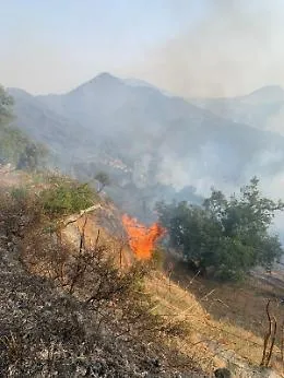 Notte di inferno in contrada Portella Vigna: fiamme minacciano case a Castelmola, Mongiuffi e Melia