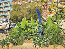 Verde e piante ornamentali per le spiagge Bandiera Blu