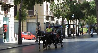 Palermo, domani allerta rossa per il caldo: divieto per la carrozze trainate dai cavalli nelle more dello stop definitivo