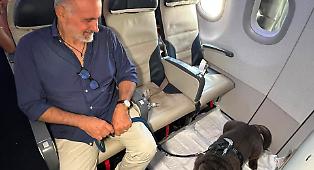 Geppino taglia un traguardo: &egrave; il primo cane-passeggero di Palermo sul volo Ita Airways