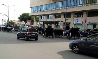 Il Comune ci prova: &laquo;Basta carrozze e mezzi elettrici al posto dei cavalli&raquo;