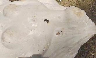 &laquo;Statue mutilate a Palazzo Jung&raquo;: chiesti danni alla Citt&agrave; metropolitana per 95mila euro, citata anche la Fondazione Falcone