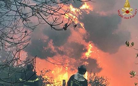 Allarme roghi, fiamme da Altofonte a Marineo, Corleone e bosco della Ficuzza
