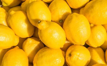 Il limone della Conca d'oro tra i prodotti agroalimentari tradizionali italiani
