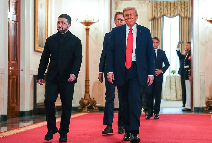 Immagine 2025-08-19 081558