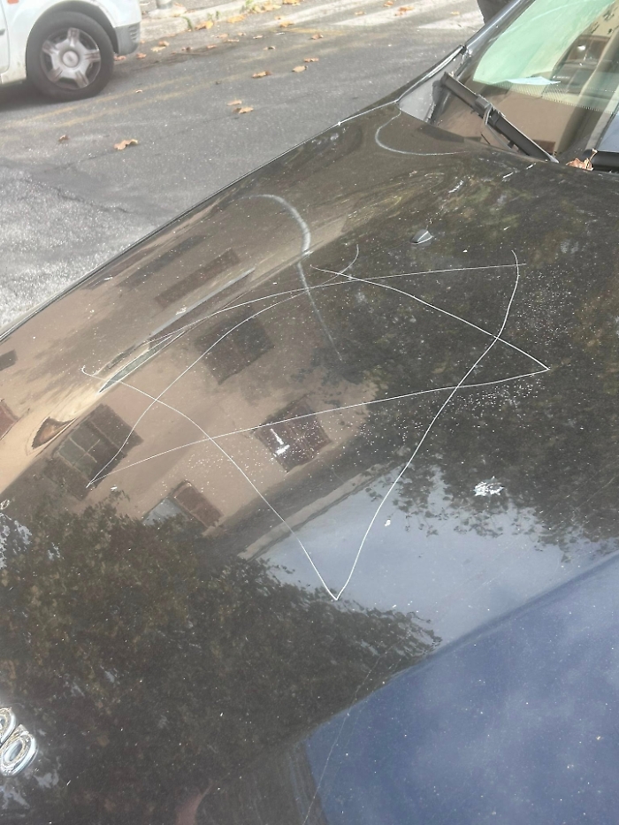 Una stella di David sul cofano e gomma dell'auto squarciata: l'intimidazione a una sindacalista