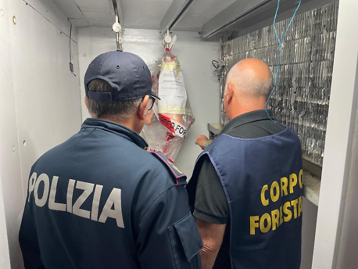 Blitz a Patern&ograve;: multe e sequestri in una macelleria islamica per carenze igienico‑sanitarie e carne senza etichetta