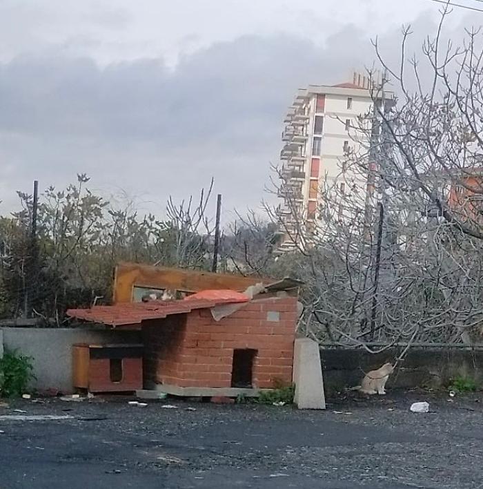 A Catania vandalizzata la casetta dei gatti: colpito un simbolo di civilt&agrave; e cura del territorio