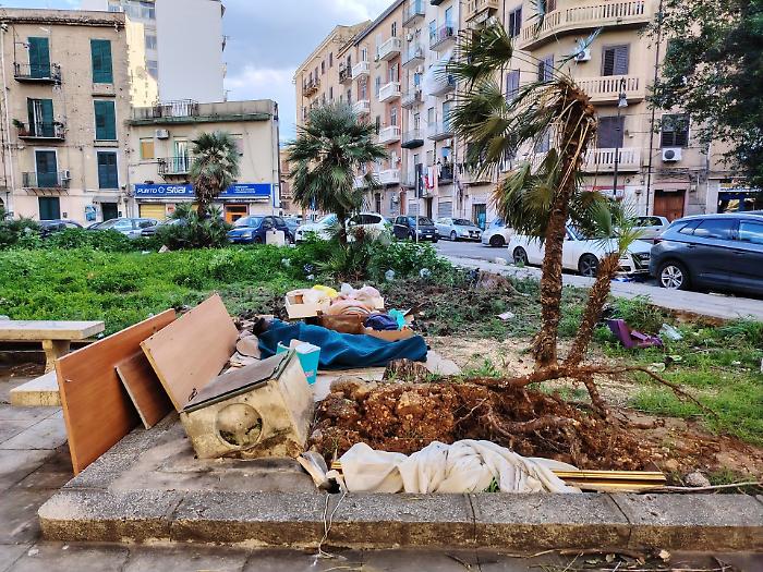 Tolto dalla piazza l'albero crollato, resta un clochard nel degrado