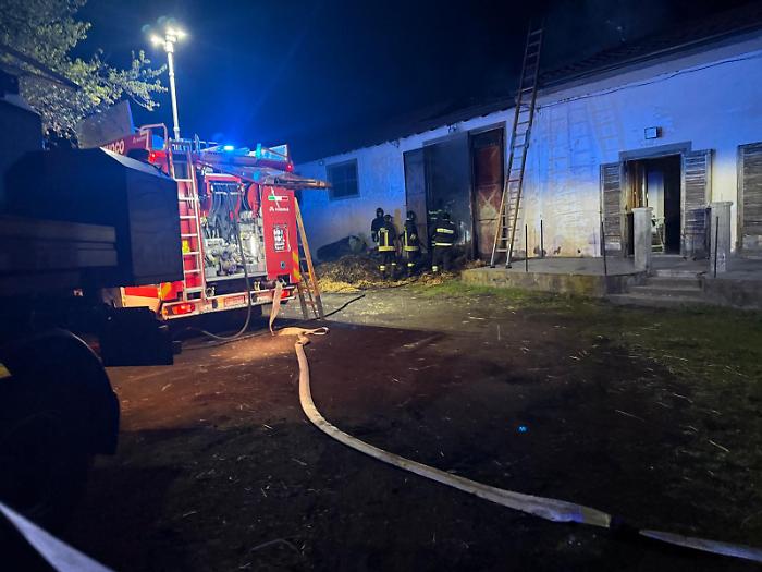 Maletto, fienile distrutto da incendio doloso, morte alcune mucche