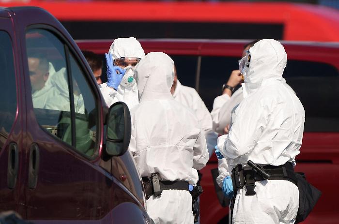 Hantavirus, l&rsquo;allarme si restringe ma non si spegne: il caso Veneto &egrave; negativo, mentre l&rsquo;Europa continua a inseguire la scia della Hondius