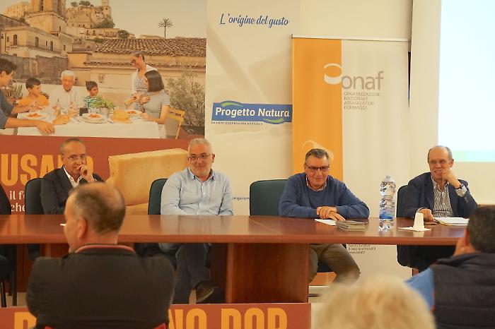 Un quarto del latte bovino dell'intera Sicilia &egrave; raccolto in provincia di Ragusa
