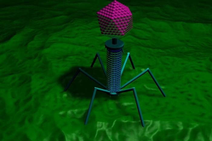 I virus progettati dall&rsquo;intelligenza artificiale per curare le infezioni resistenti