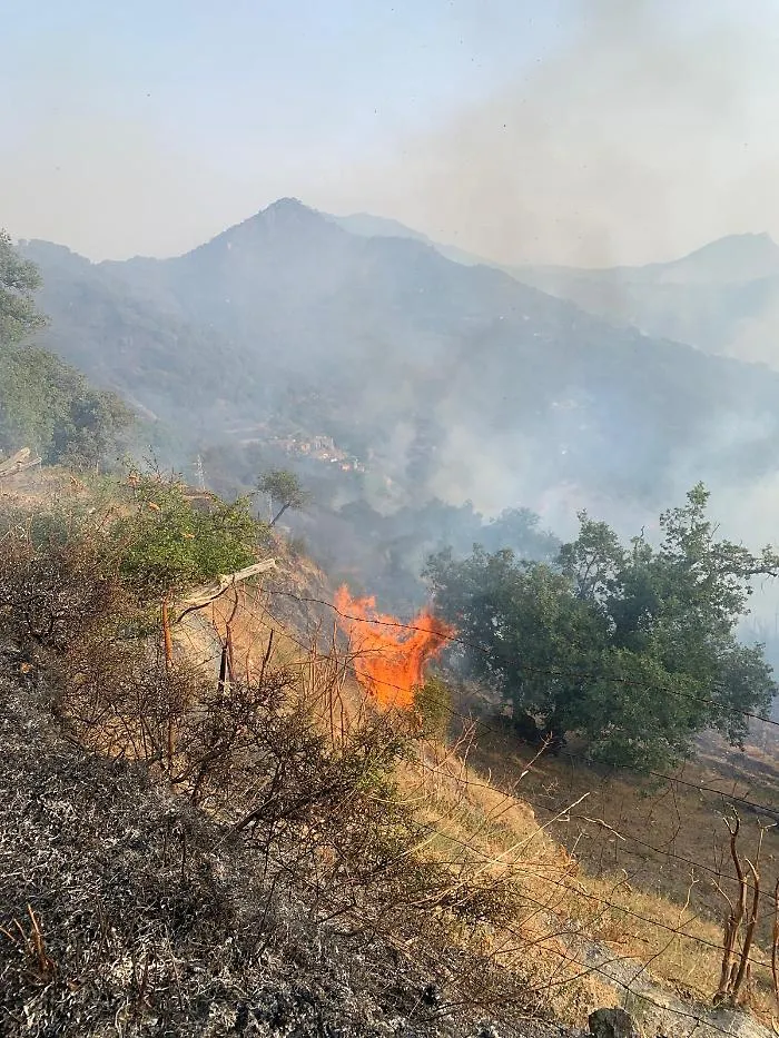 Notte di inferno in contrada Portella Vigna: fiamme minacciano case a Castelmola, Mongiuffi e Melia